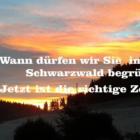 Hotel Dzt-schwarzwaldhotel Garni
