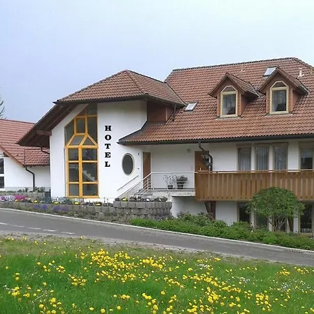 Dzt-schwarzwaldhotel Garni Отель Unterkirnach