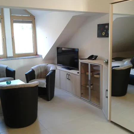 Dzt-schwarzwaldhotel Garni Отель Unterkirnach