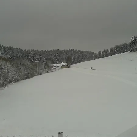 Dzt-schwarzwaldhotel Garni Szálloda