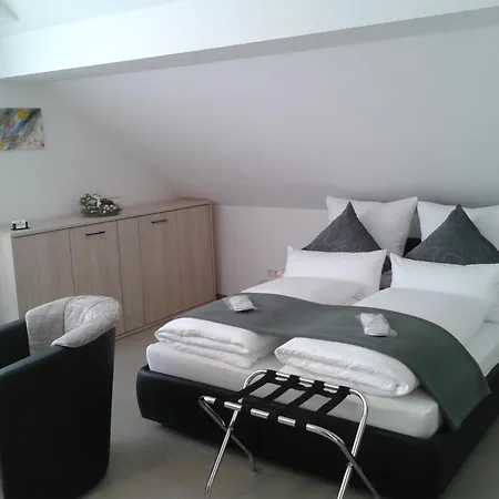 Dzt-schwarzwaldhotel Garni Отель *