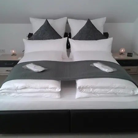 Отель Dzt-schwarzwaldhotel Garni *