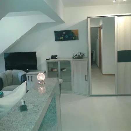 Отель Dzt-schwarzwaldhotel Garni *