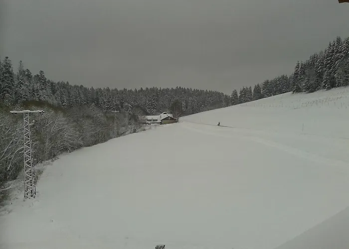 Dzt-schwarzwaldhotel Garni Szálloda
